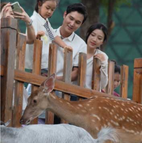 深圳大运天地实景